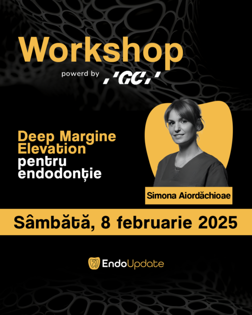 DME pentru endodontie (Workshop EndoUPDATE Cluj-Napoca – feb. 2025)